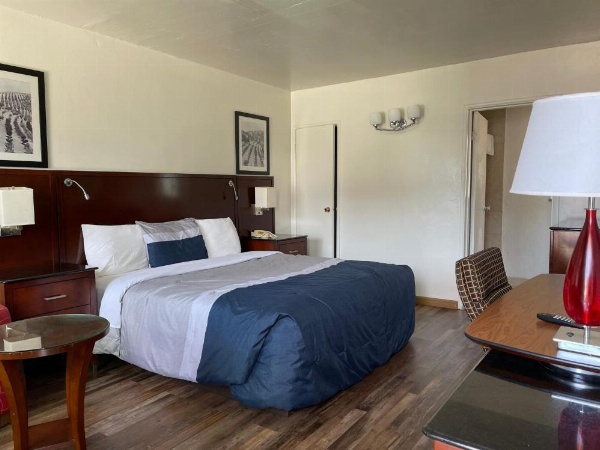 旅行者海滩旅馆 image 8